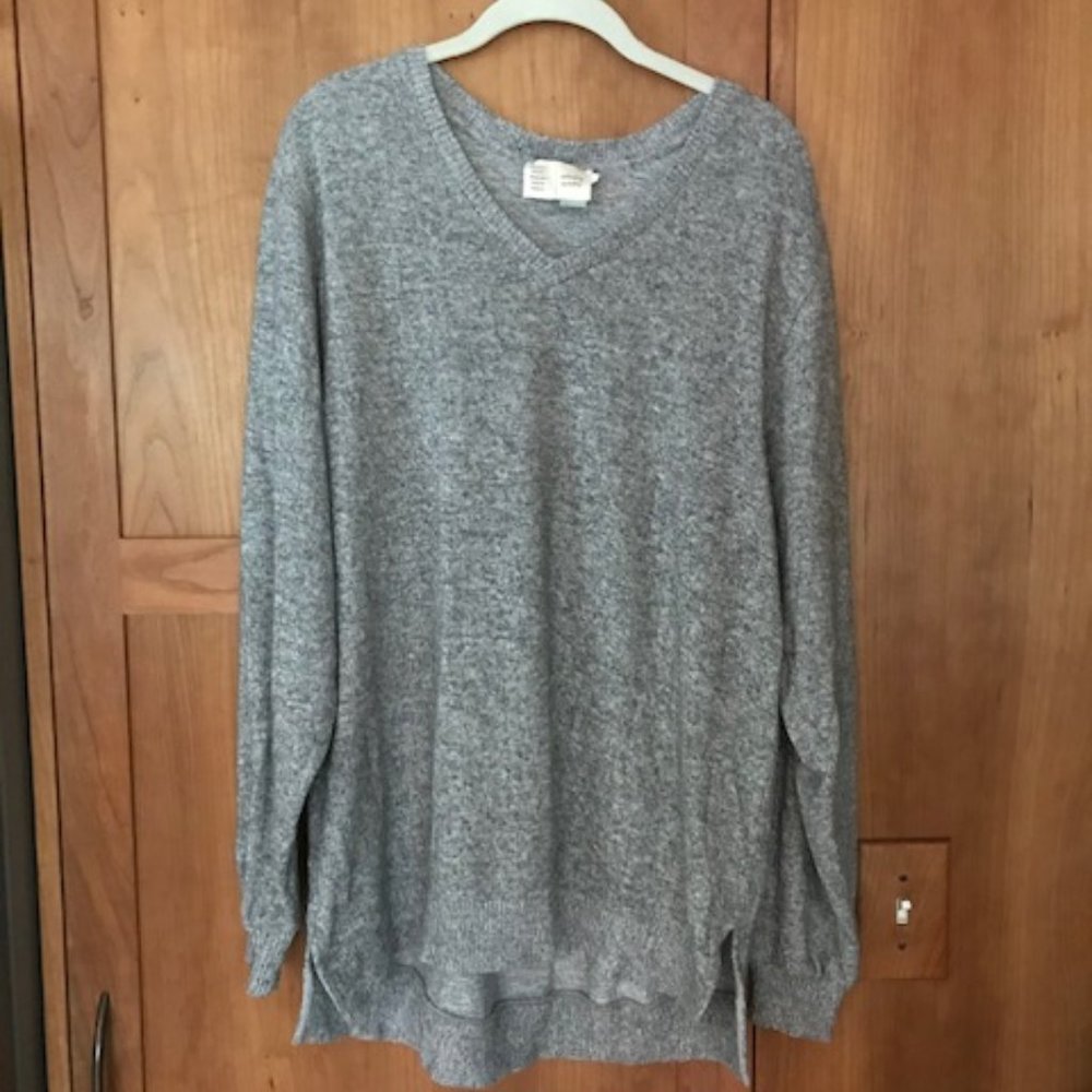 Anthropologie Saturday/Sunday v-neck sweater